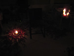 The scene (no flash)